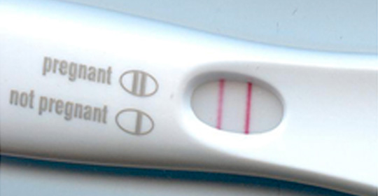 El embarazo paso a paso: 0 a 8 semanas